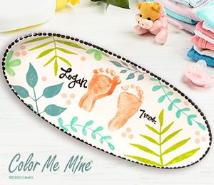 Colorado Springs Tropical Baby Tray