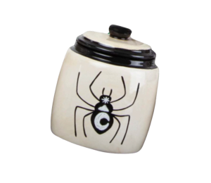 Colorado Springs Celestial Spider Jar