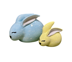 Colorado Springs Fern & Sprout Bunnies
